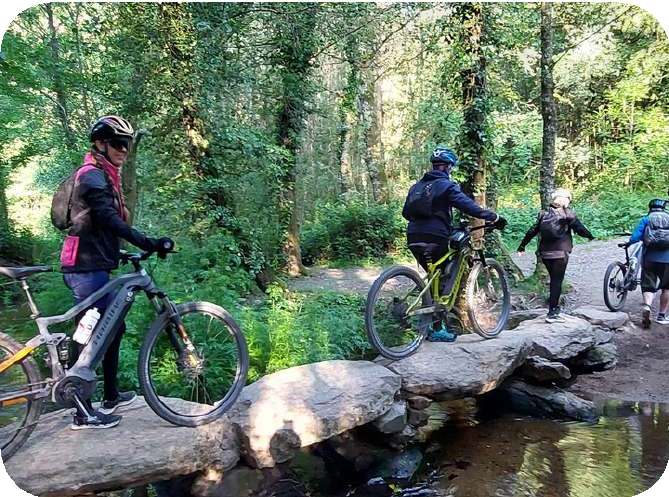 Bike on the Camino landscape